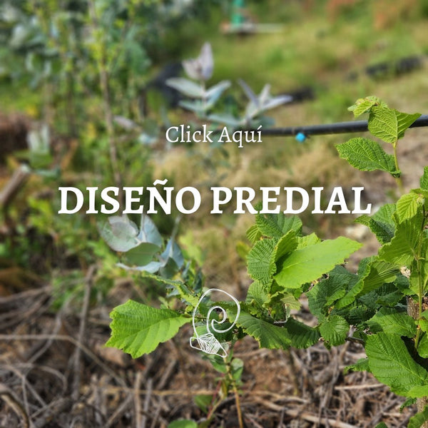 Diseño Predial